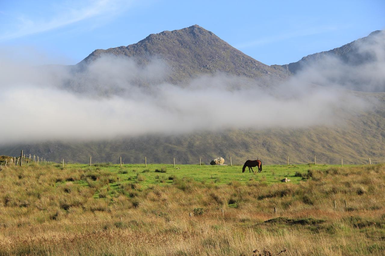 The Reeks Cottage Killarney Luaran gambar